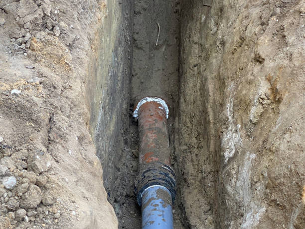 Best Basement water damage restoration  in Seymour, WI