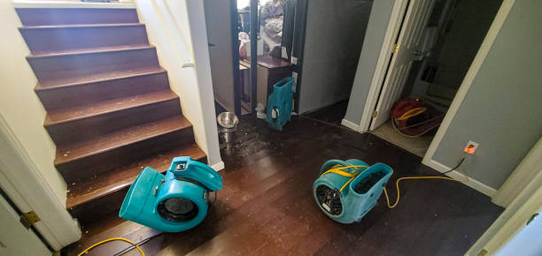 Best Emergency water damage restoration  in Seymour, WI