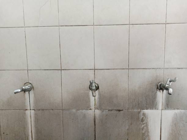  Seymour, WI Water damage restoration Pros