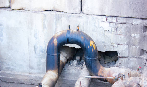 Best Local water damage restoration  in Seymour, WI